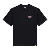Dickies Graysville T-Shirt Black (Back Print)