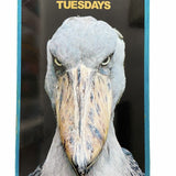Buy Tuesdays Shoebill 'Big Bird' Skateboard Deck, 8.125" X 31.75" Deep Concave/Steep. Wheelbase : 14" Pressed and Printed in Germany by Quarter Dist. Free griptape, Free next day delivery and buy now pay later options at checkout. Best selection of Skateboards in Bolton at Tuesdays Skateshop.